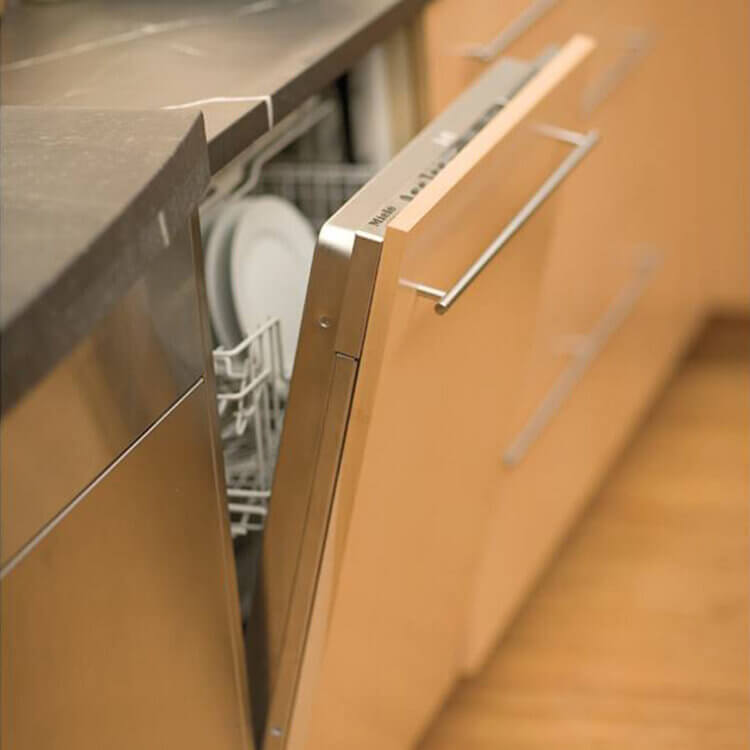 A paneled dishwasher with a slab cabinet door front.