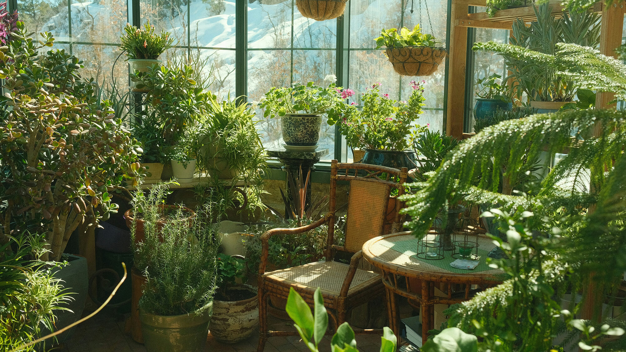 An example of an extremely Luscious and eclectic Biophilic home.